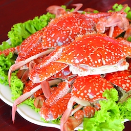 Steam Crab