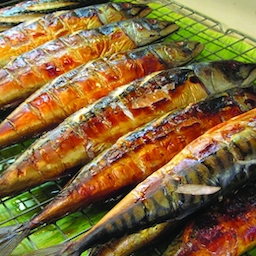 Grilled Saba fish