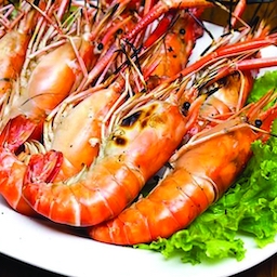 Grilled Shrimp