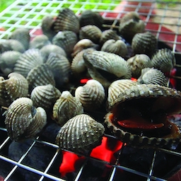 Grilled Cockle