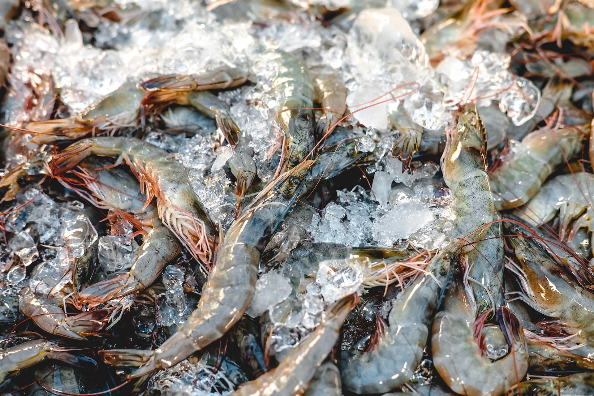 Betong Fresh Seafood